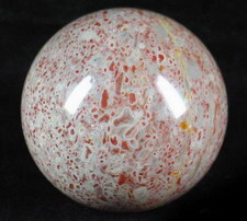 Red Spotted Fossil
